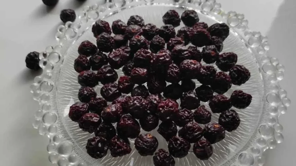 آلبالو خشک ارگانیک و مرغوب سپیکام